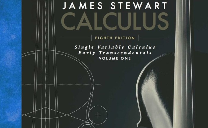 Calculus early transcendentals 4th edition