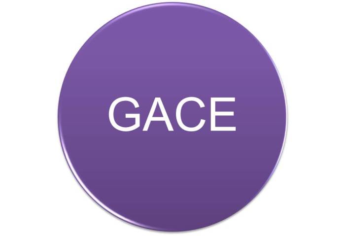 Gace 581 free practice test