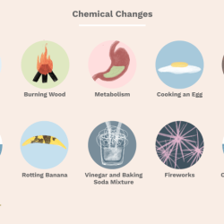 Chemistry: matter and change online textbook