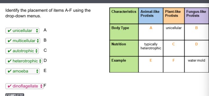 Identify the placement of items a-f using the drop-down menus.