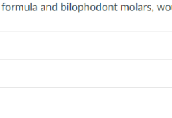 Match the primates with their correct upper-jaw dental formula.