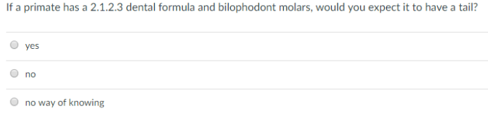 Match the primates with their correct upper-jaw dental formula.