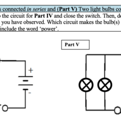 Bulb sockets socket nichole